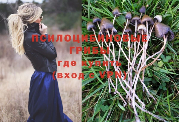ПСИЛОЦИБИНОВЫЕ ГРИБЫ Богданович