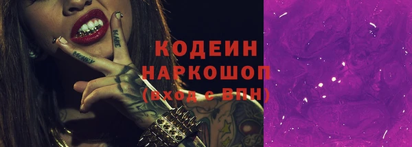 ПСИЛОЦИБИНОВЫЕ ГРИБЫ Богданович