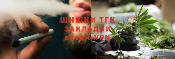 ПСИЛОЦИБИНОВЫЕ ГРИБЫ Богданович