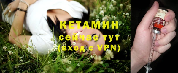 ПСИЛОЦИБИНОВЫЕ ГРИБЫ Богданович
